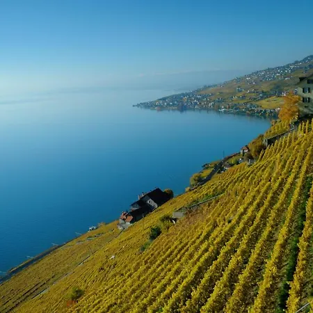 Отель Ibis Centre 3*