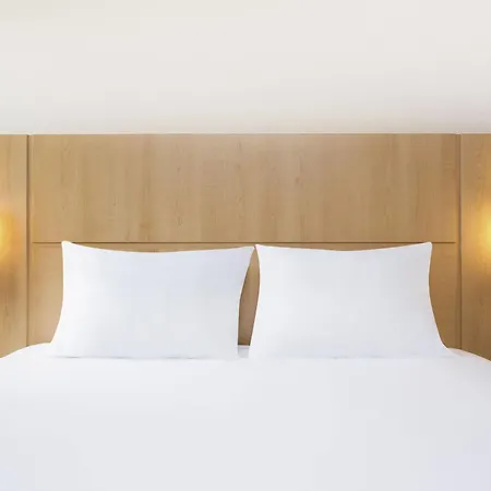 Hotel Ibis Centre 3*