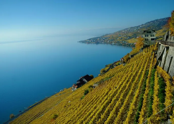 Hotel Ibis Centre 3*