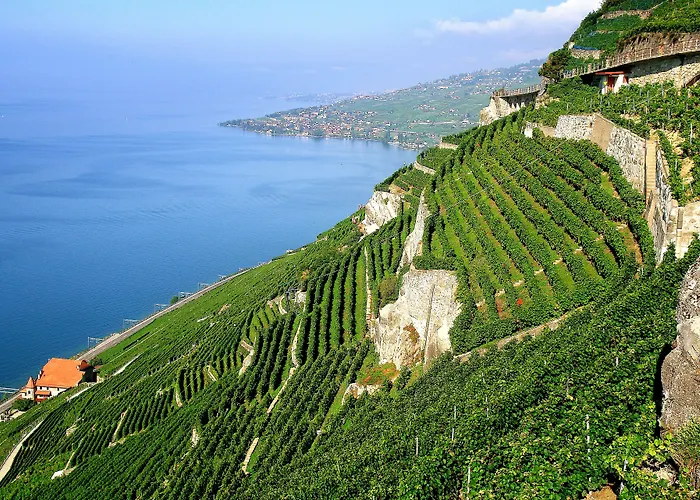 洛桑中心宜必思酒店 酒店 3*